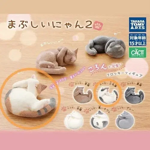 [BUNJANG] Takara Tomy Arts "Sleeping Cat" Series 2 "Samsengnyangyi" (Three-Color Cat) Gacha Figure (Sealed) / [미개봉] 삼색냥이 눈부시다냥2 잠자는 고양이 피규어 갸차 타카라토미아츠