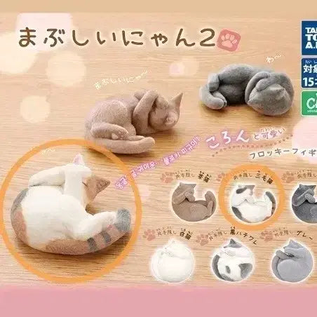 [BUNJANG] Takara Tomy Arts "Sleeping Cat" Series 2 "Samsengnyangyi" (Three-Color Cat) Gacha Figure (Sealed) / [미개봉] 삼색냥이 눈부시다냥2 잠자는 고양이 피규어 갸차 타카라토미아츠