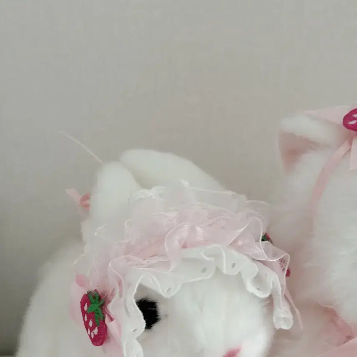 [BUNJANG] Barbados Cat Doll 2 pcs + Headwear 2 pcs Set / 바브드묘 인형 2개 +헤도레 2개 set
