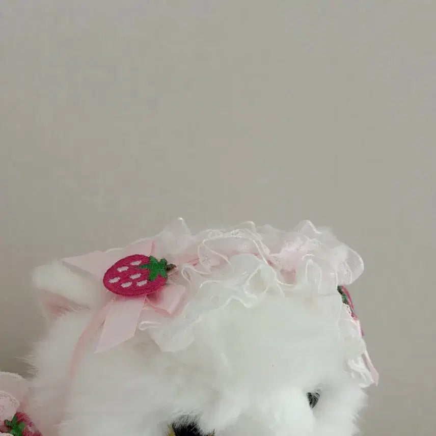 [BUNJANG] Barbados Cat Doll 2 pcs + Headwear 2 pcs Set / 바브드묘 인형 2개 +헤도레 2개 set