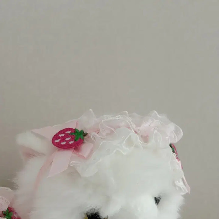 [BUNJANG] Barbados Cat Doll 2 pcs + Headwear 2 pcs Set / 바브드묘 인형 2개 +헤도레 2개 set