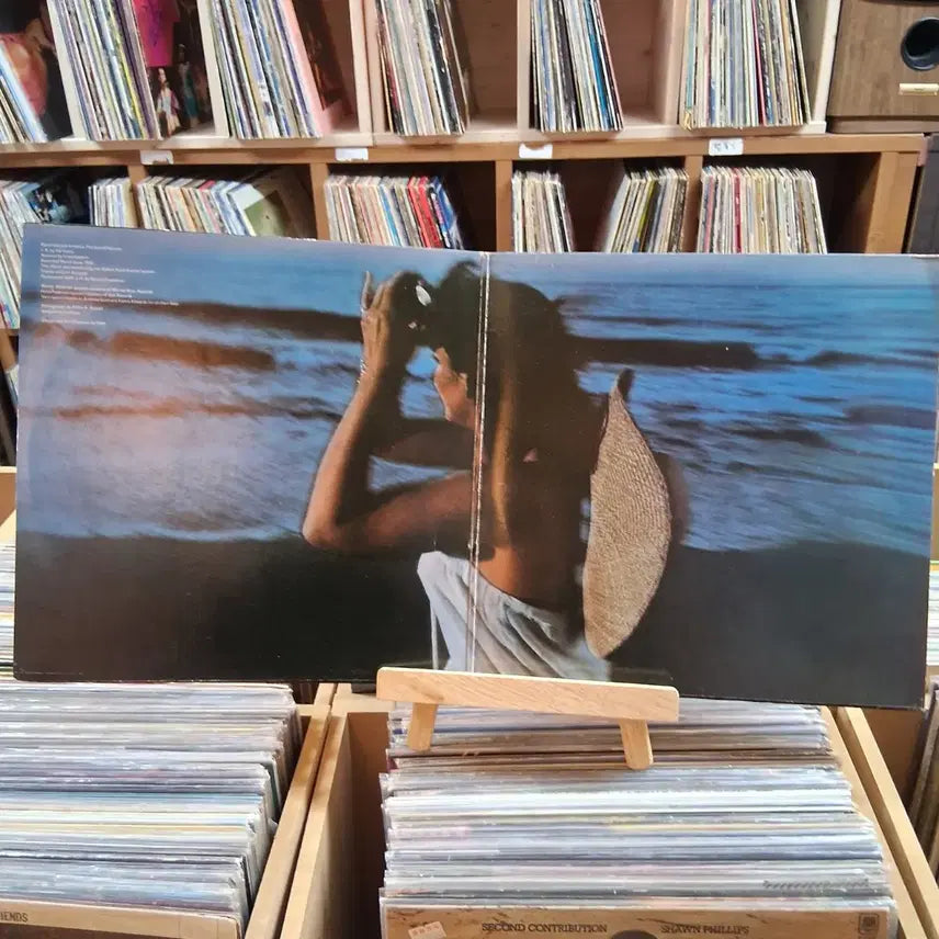 [BUNJANG] Linda Ronstadt Hasten Down The Wind LP / 소장가치 게이트폴더 린다 론스타트 LP  할인