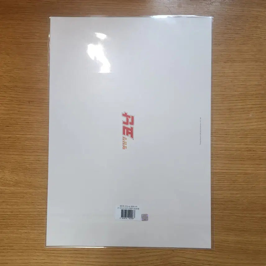 [BUNJANG] Detective Conan A3 Poster / 코난 A3 포스터