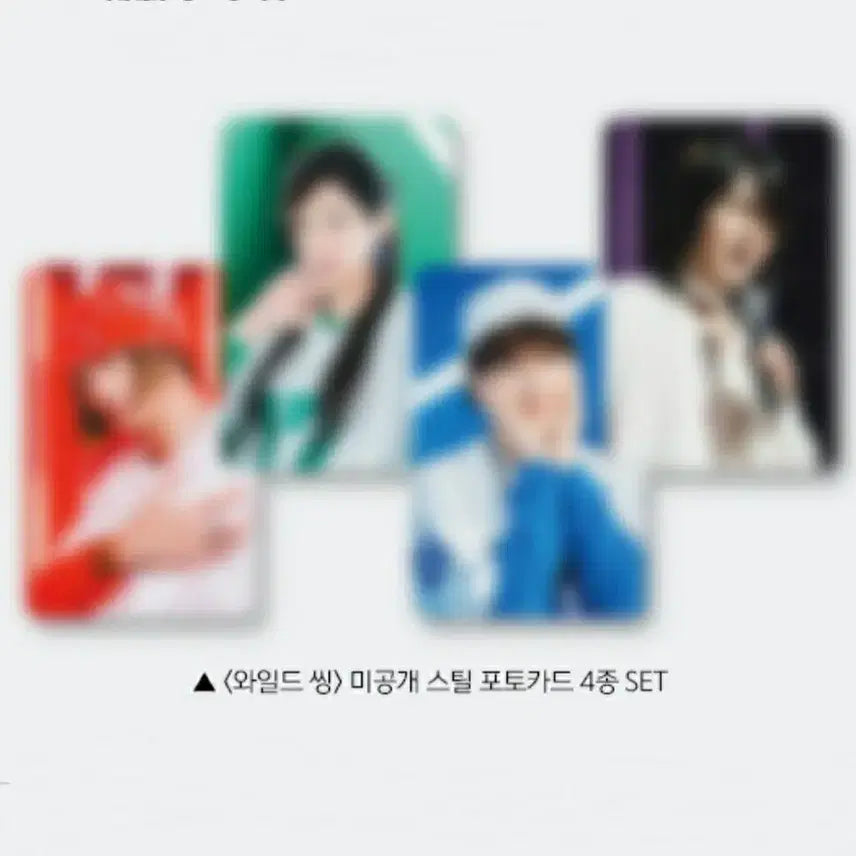 [BUNJANG] Wild Thing Photocard 4-Set + Wild Thing TTT Bundle Set / 와일드씽포카4종세트 + 와일드씽TTT (2종 일괄)
