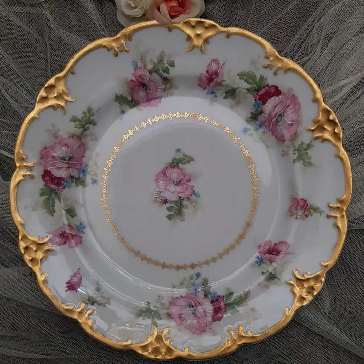 [BUNJANG] Haviland Limoges Enamel Painting Dinner Plate / 프랑스하빌랜드 리모즈