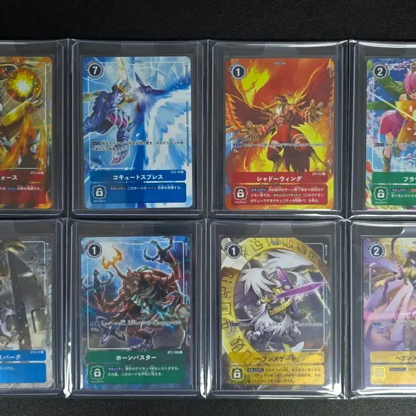 [BUNJANG] Digimon Tamers Evolution PB-01 Single Card 8 Types Set / 디지몬 테이머즈 에볼루션(PB-01) 싱글카드 8종set