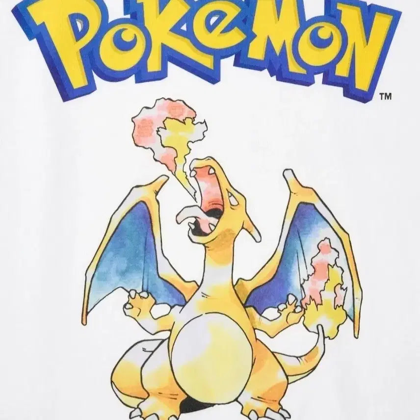 [BUNJANG] Uniqlo Pokemon Charizard Short Sleeve T-Shirt XL / 유니클로 uniqlo 포켓몬스터 pokemon 리자몽 반팔 티셔츠
