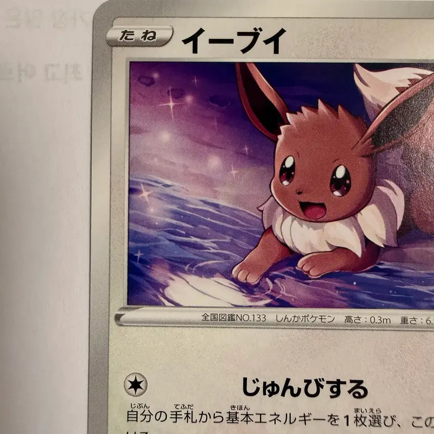 [BUNJANG] Pokemon Card Jim Limited Promo 163/S-P Eevee (Highest Grade) / [등급용/최상급] 포켓몬 카드 짐 한정 프로모 163/S-P 이브이