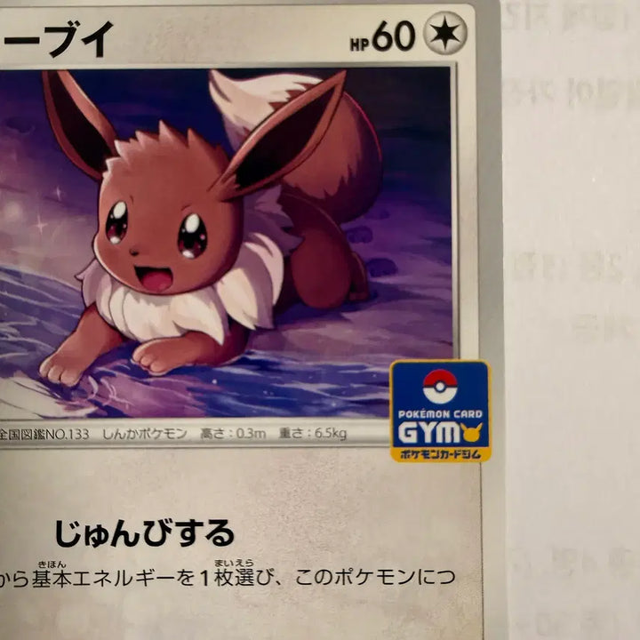 [BUNJANG] Pokemon Card Jim Limited Promo 163/S-P Eevee (Highest Grade) / [등급용/최상급] 포켓몬 카드 짐 한정 프로모 163/S-P 이브이