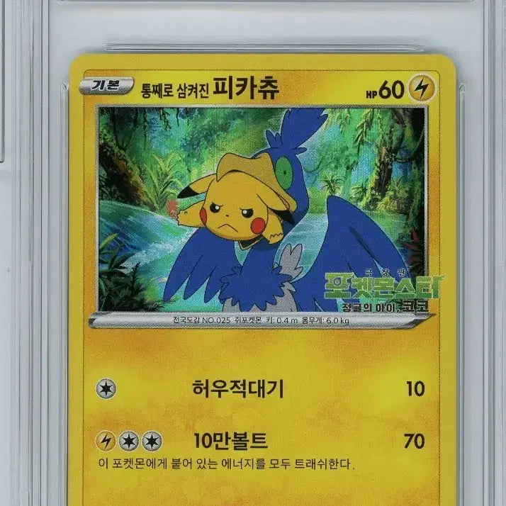 [BUNJANG] Pokémon TCG Pikachu BRG9 / 포켓몬카드 통째로 삼켜진 피카츄 brg9