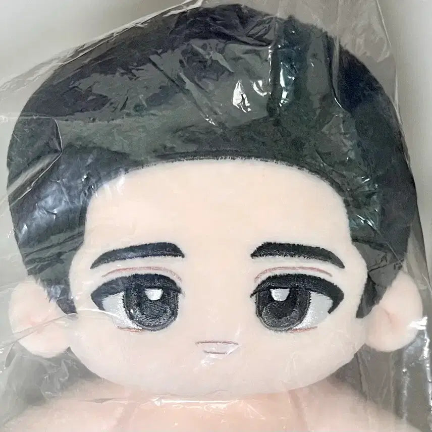[BUNJANG] Slam Dunk Unofficial Plush Doll Set (20cm) - Lee Myung-heon &amp; Song Tae-seop / 슬램덩크 명태 비공식 솜인형 세트 이명헌 송태섭