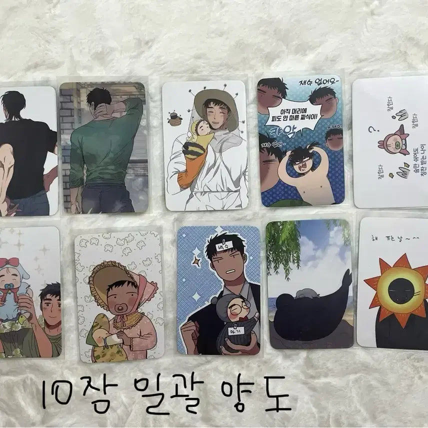 [BUNJANG] Haetteujip Photocard Bundle Set / (일괄) 해뜨는집 포카