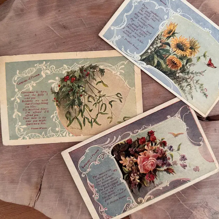 [BUNJANG] Vintage Flower Bouquet Postcards Set (3 Cards) / 빈티지플라워엽서 다발꽃3장함께