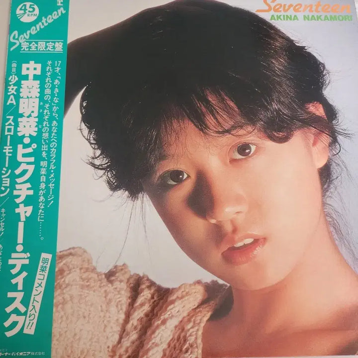 [BUNJANG] Akina Nakamori Seventeen Picture Disc LP (Limited Edition) / 추천 나카모리 아키나 Akina Nakamori 픽쳐디스크 LP