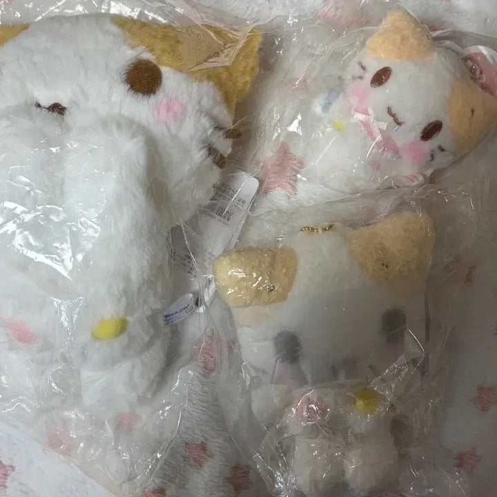 [BUNJANG] Marshmallow Nuigurumi Spinns Mascot Set (Size S) / 마슈마로 일괄판매 s사이즈 누이 스핀스 마스코트