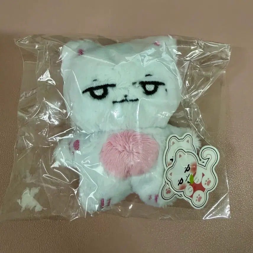 [BUNJANG] SEVENTEEN Woozi Unsealed 10cm Catzi Doll + POB / 세븐틴 비공굿 우지 인형 개봉 캣찌 10cm+특전