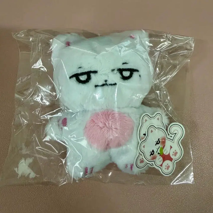 [BUNJANG] SEVENTEEN Woozi Unsealed 10cm Catzi Doll + POB / 세븐틴 비공굿 우지 인형 개봉 캣찌 10cm+특전