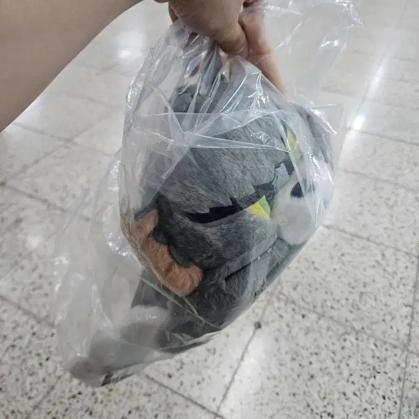 [BUNJANG] Tom and Jerry Ichiban Kuji Tom Plush / 톰과제리 제일복권 톰 인형 (주말만 할인)