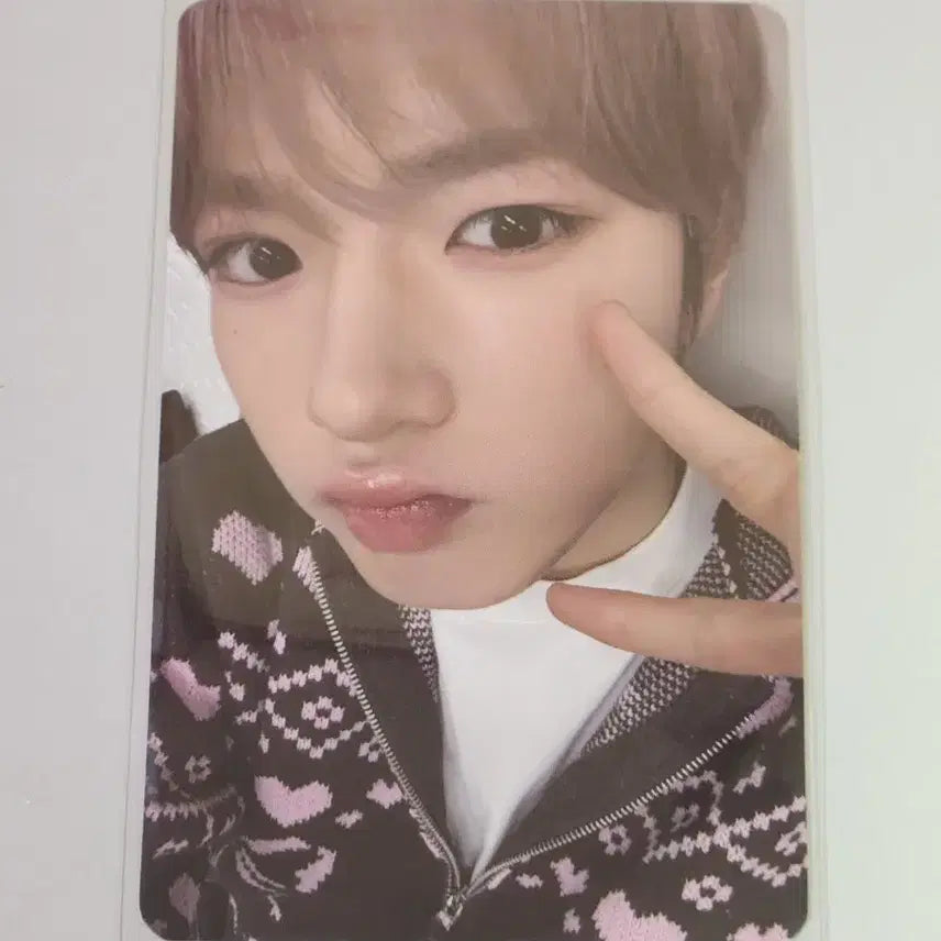 [BUNJANG] Wishnini Pangnini Room Plush Doll Set Sakuya Photocard / 위시니니 팡팡니니 룸 플러시 인형 세트 사쿠야 포카