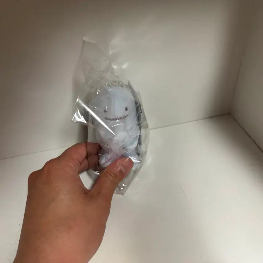 [BUNJANG] Transforming Ditto &amp; Charizard Mascot Keychain / 변신 메타몽 마자용 마스코트(키링)