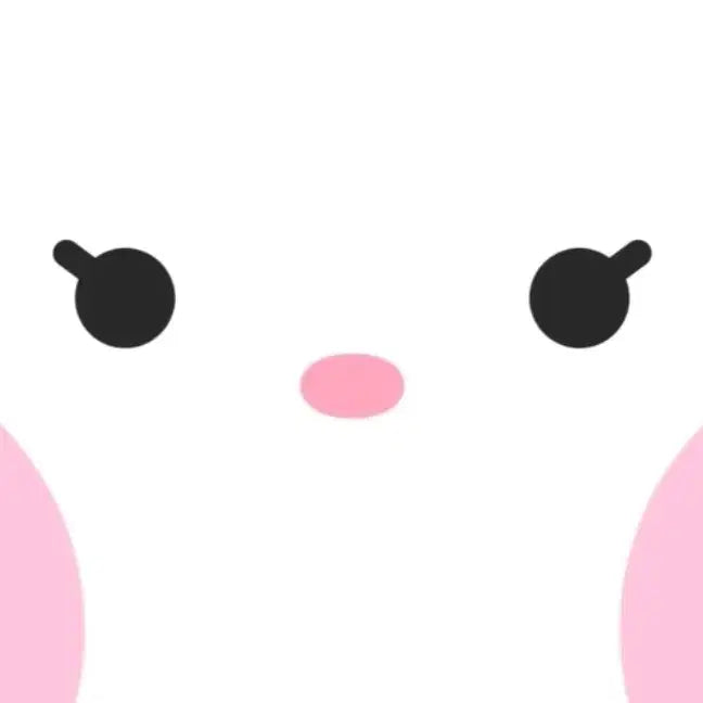 [BUNJANG] Shipping / 배송배송