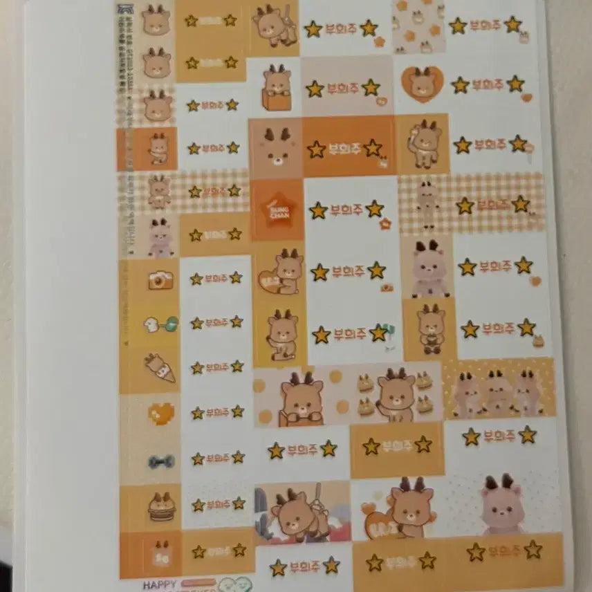 [BUNJANG] RIIZE RIIZE PARK Name Sticker Sungchan / 라이즈 라이즈파크 네임 스티커 우락밤