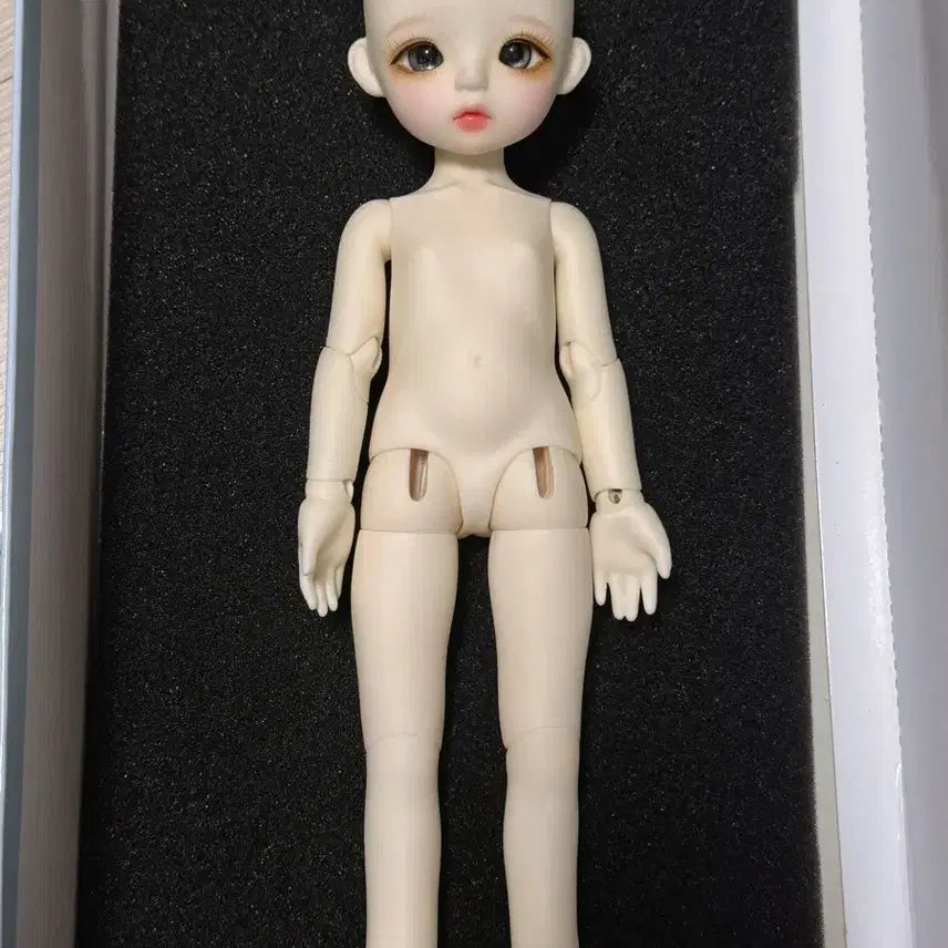 [BUNJANG] LinaShushu Snow Kitten Cream Ball-Jointed Doll / 급처) 리나슈슈 스노우 키튼 크림 판매 구체관절인형 구관