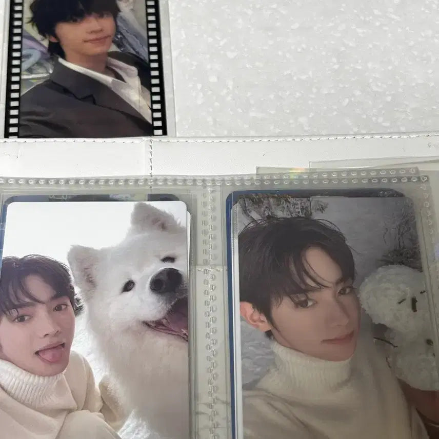[BUNJANG] TWS Dohoon Photocard / 투어스 도훈 포카 판매 양도 신유 도훈 영재 지훈 한진 경민