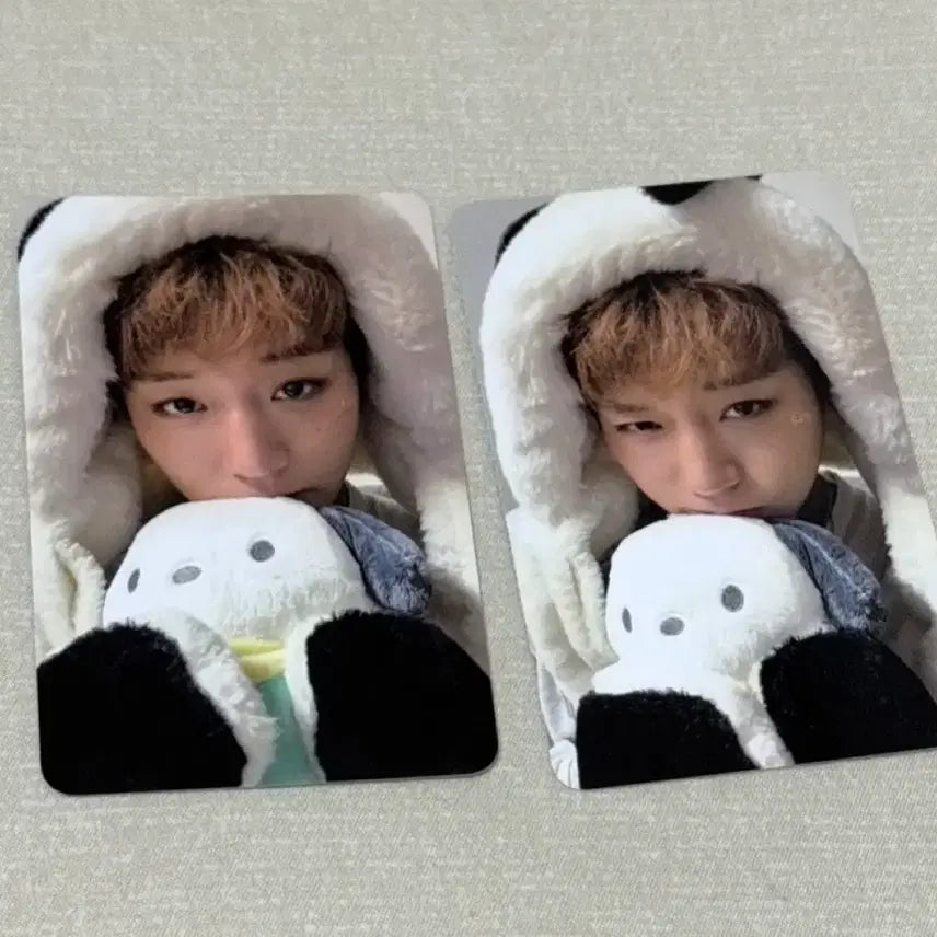 [BUNJANG] Park Ji Hoon Pochacco Photocard / 박지훈 포차코 포토카드