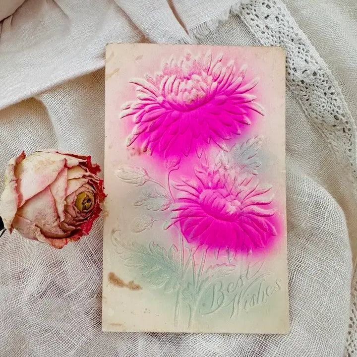 [BUNJANG] Antique Embossed Floral Postcard Pink Chrysanthemum / 앤틱엽서 입체양각 플라워 핑크국화