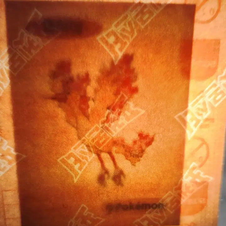 [BUNJANG] Sealed Pokemon 30th Anniversary Bbsl Fire Single Card / (미개봉)포켓몬 30주년 띠부씰 파이어,라이츄