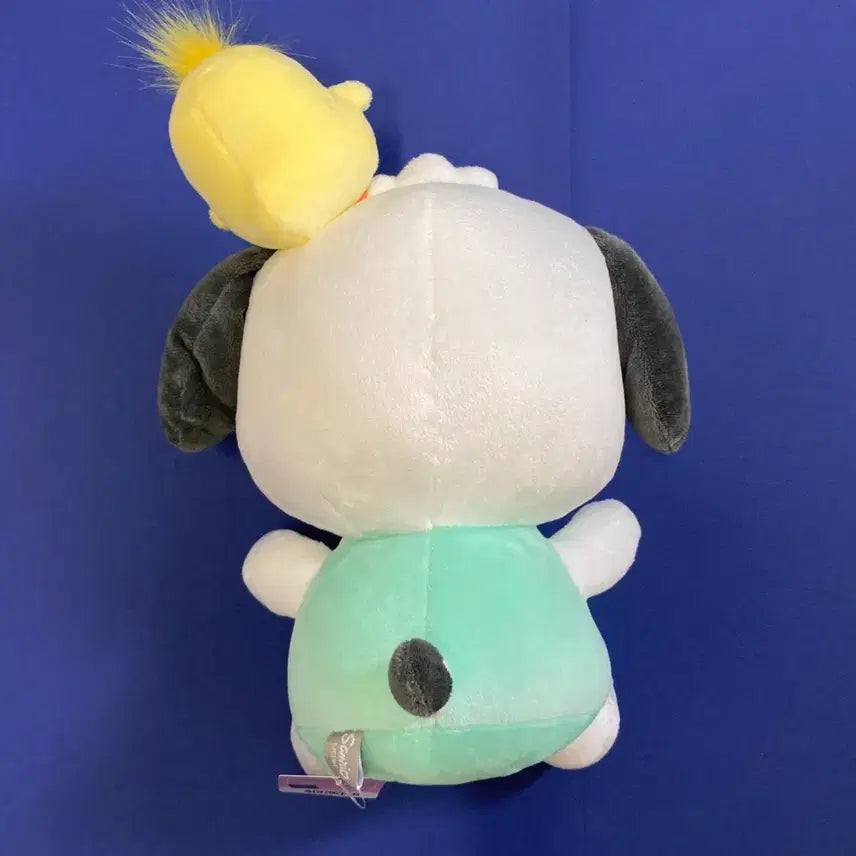[SOLD OUT] 포차코 인형 (25cm, 반택 가능)