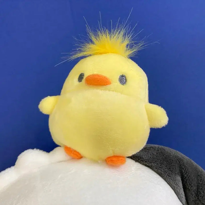 [SOLD OUT] 포차코 인형 (25cm, 반택 가능)