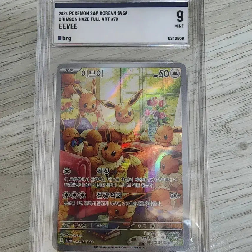[SOLD OUT] 포켓몬카드 이브이ar brg9