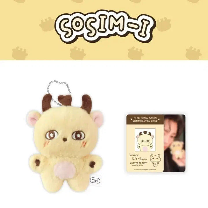 [BUNJANG] Park Ji Hoon Soshimyi Doll / 박지훈 소심이 인형