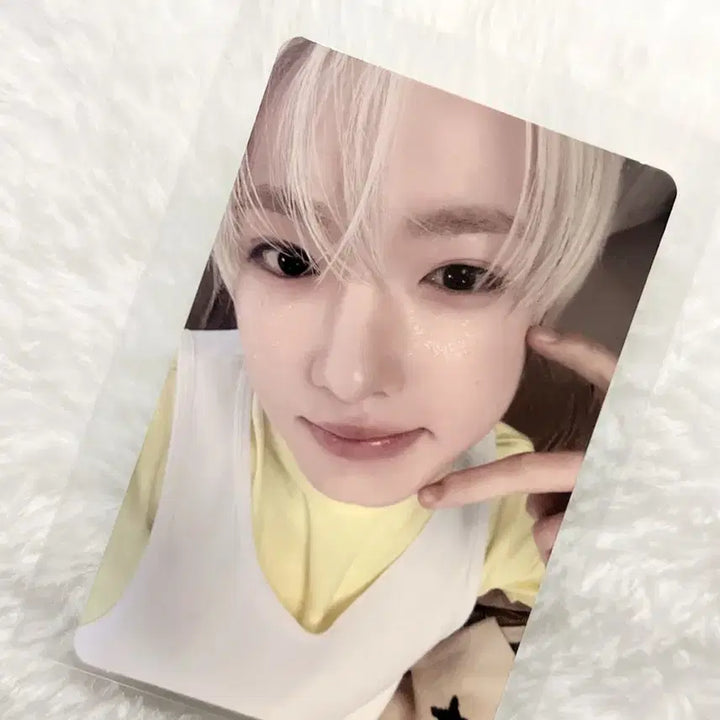 [BUNJANG] NCT WISH ODD TO LOVE Group Jewel Sakuya Photocard / 엔시티위시 오드투러브 단체 쥬얼 사쿠야 포카