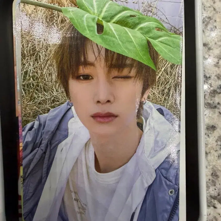 [BUNJANG] Alphadriveone Alphadrive1 2nd Week Studio Photocard - Anshin / 알파드라이브원 알디원 2주차 공방포카 양도 안신