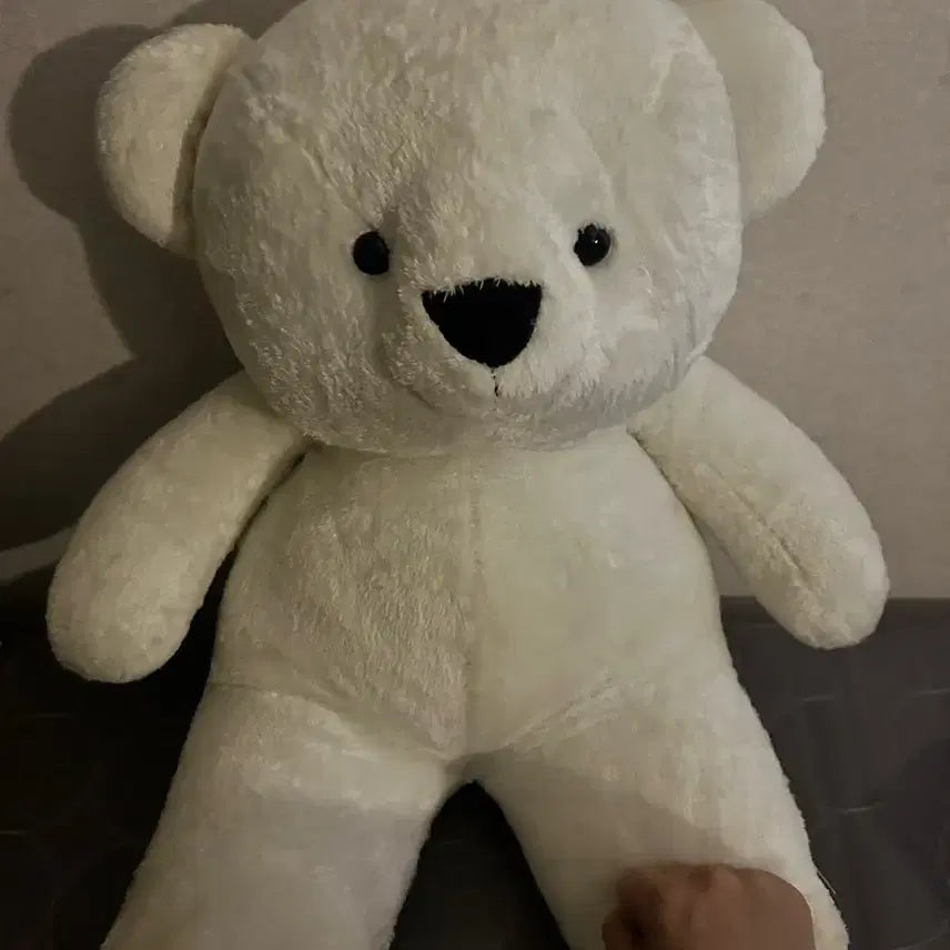 [BUNJANG] Large Plush Teddy Bear / 큰 곰인형