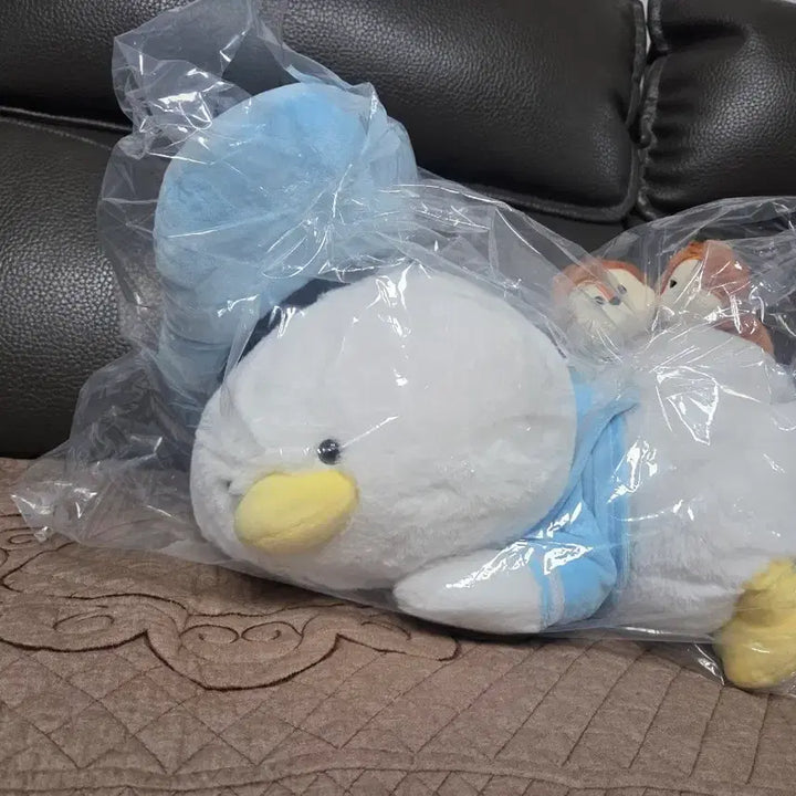[BUNJANG] Tokyo Disney Donald Duck 2026 Birthday Limited Edition Plush / 도쿄디즈니 도날드 덕 2026 생일 기념 인형