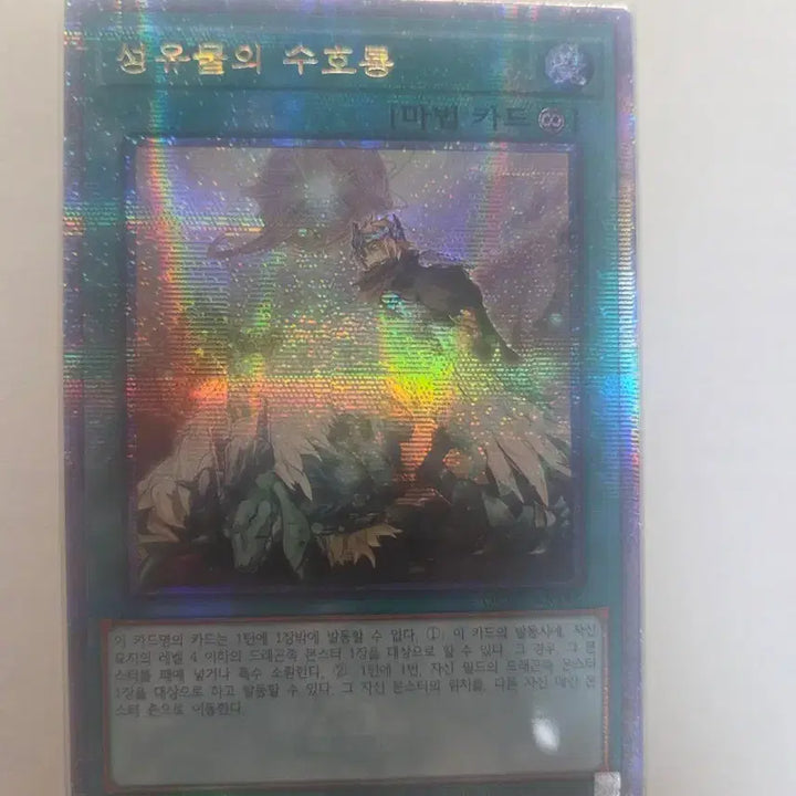 [BUNJANG] Guardian Dragon of Sacred Relics Kvisik / 성유물의 수호룡 쿼싴