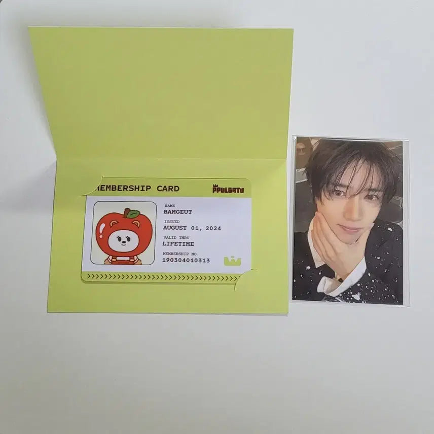 [BUNJANG] TXT Choi Beomgyu Apple Bat Popup Photocard Bundle Set / (범규세트)애뿔바투 팝업 범규 포카 밤긋 아이디카드 일괄 투바투 최범규