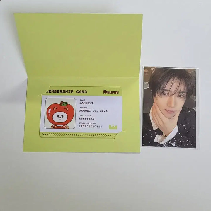 [BUNJANG] TXT Choi Beomgyu Apple Bat Popup Photocard Bundle Set / (범규세트)애뿔바투 팝업 범규 포카 밤긋 아이디카드 일괄 투바투 최범규