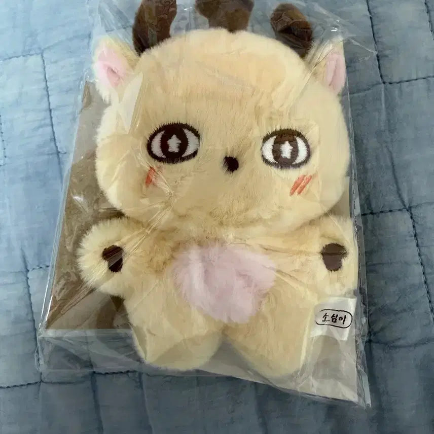 [BUNJANG] Park Jihoon "Sosimi" Plush Doll / 소심이 박지훈 인형