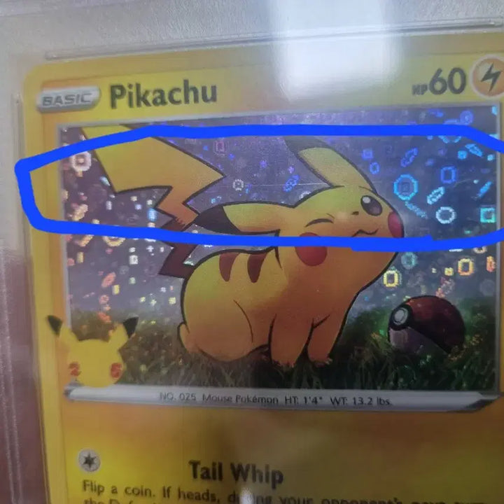 [BUNJANG] Pokemon TCG North American English 25th Anniversary Pikachu PSA 9 / 포켓몬카드 북미 영문판 25주년 기념 피카츄 PSA9 [내용 확인]
