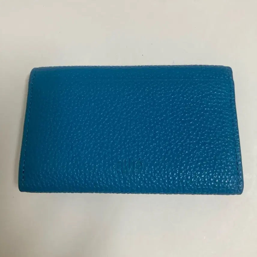 [SOLD OUT] 아떼 바네사브루노 슈렁큰레더 카드지갑