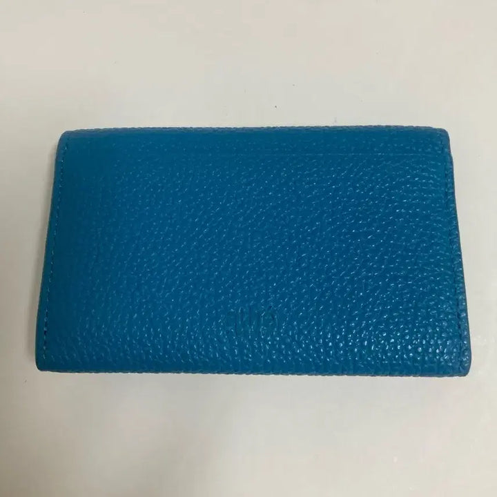 [SOLD OUT] 아떼 바네사브루노 슈렁큰레더 카드지갑