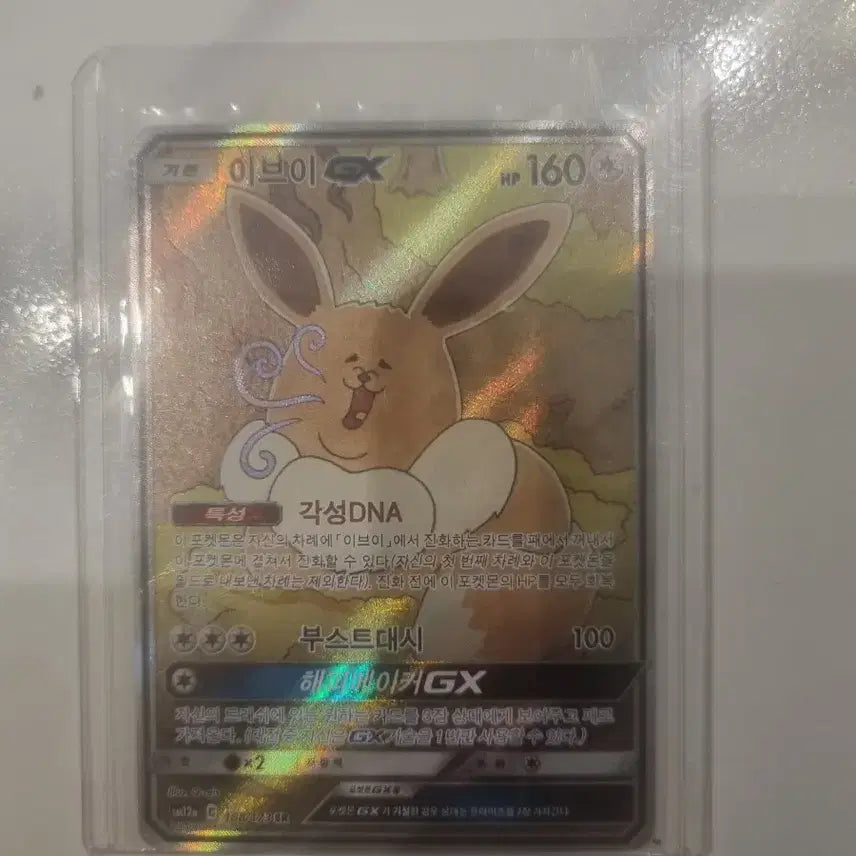[BUNJANG] Eevee GX Card / 이브이 GX 카드