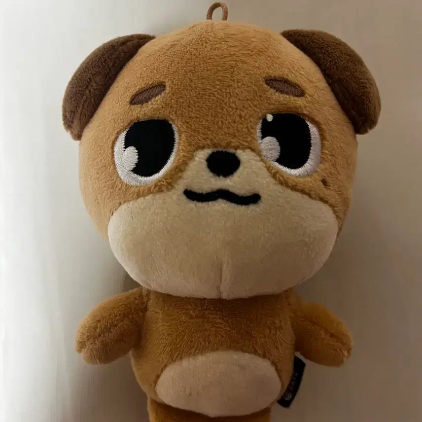 [SOLD OUT] 데이식스 데니멀즈 윤도운 도운 돈 양도
