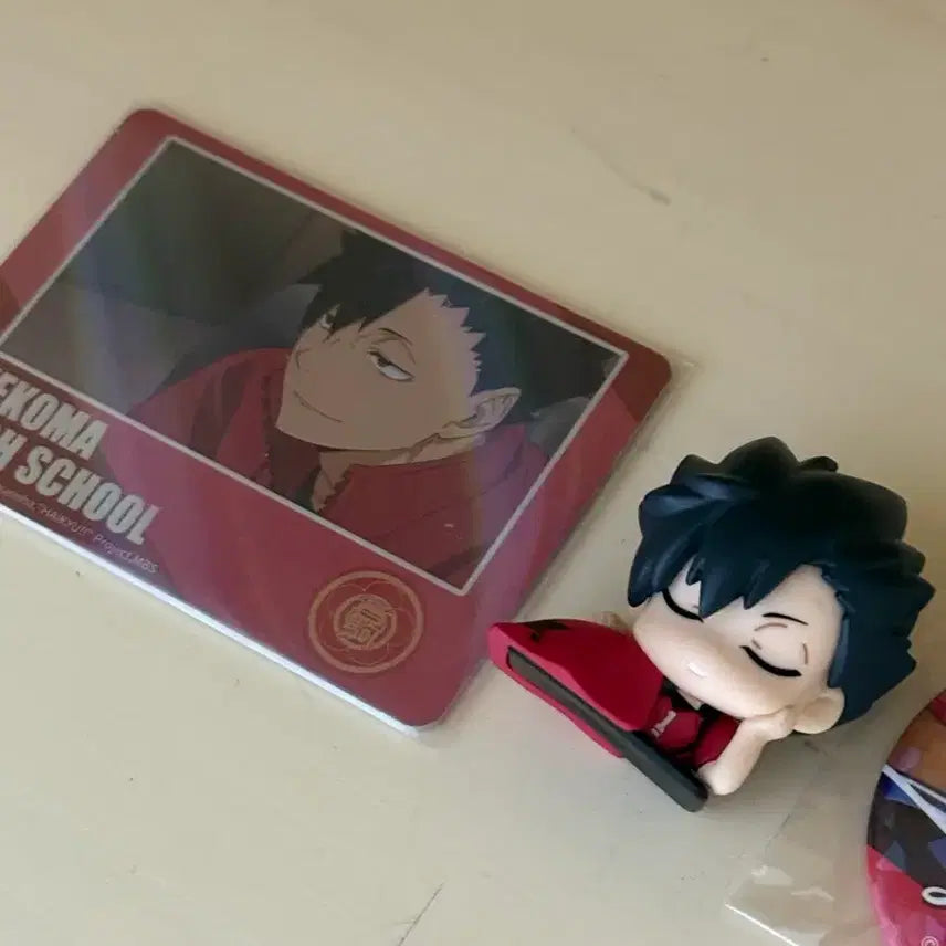 [BUNJANG] Haikyuu!! Tetsuro Kuroo Paper Card, Onemutan, &amp; Can Badge Bundle Set / 하이큐 쿠로오 테츠로 지류 카드 오네무탄 캔뱃지 일괄
