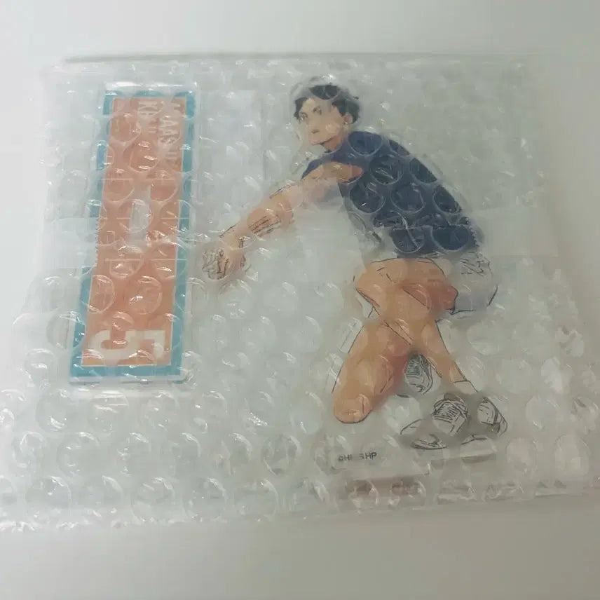 [BUNJANG] Haikyuu!! Akaashi Keiji Receive Acrylic Stand / 하이큐 아카아시 케이지 리시브 아크릴
